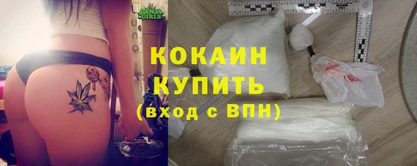 дживик Аркадак